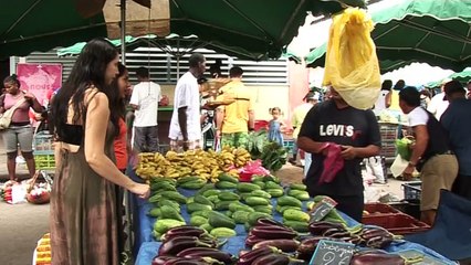 Guyane- Les Hmongs résistent aux pesticides