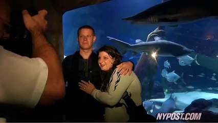 Mariage sous l'eau avec des requins