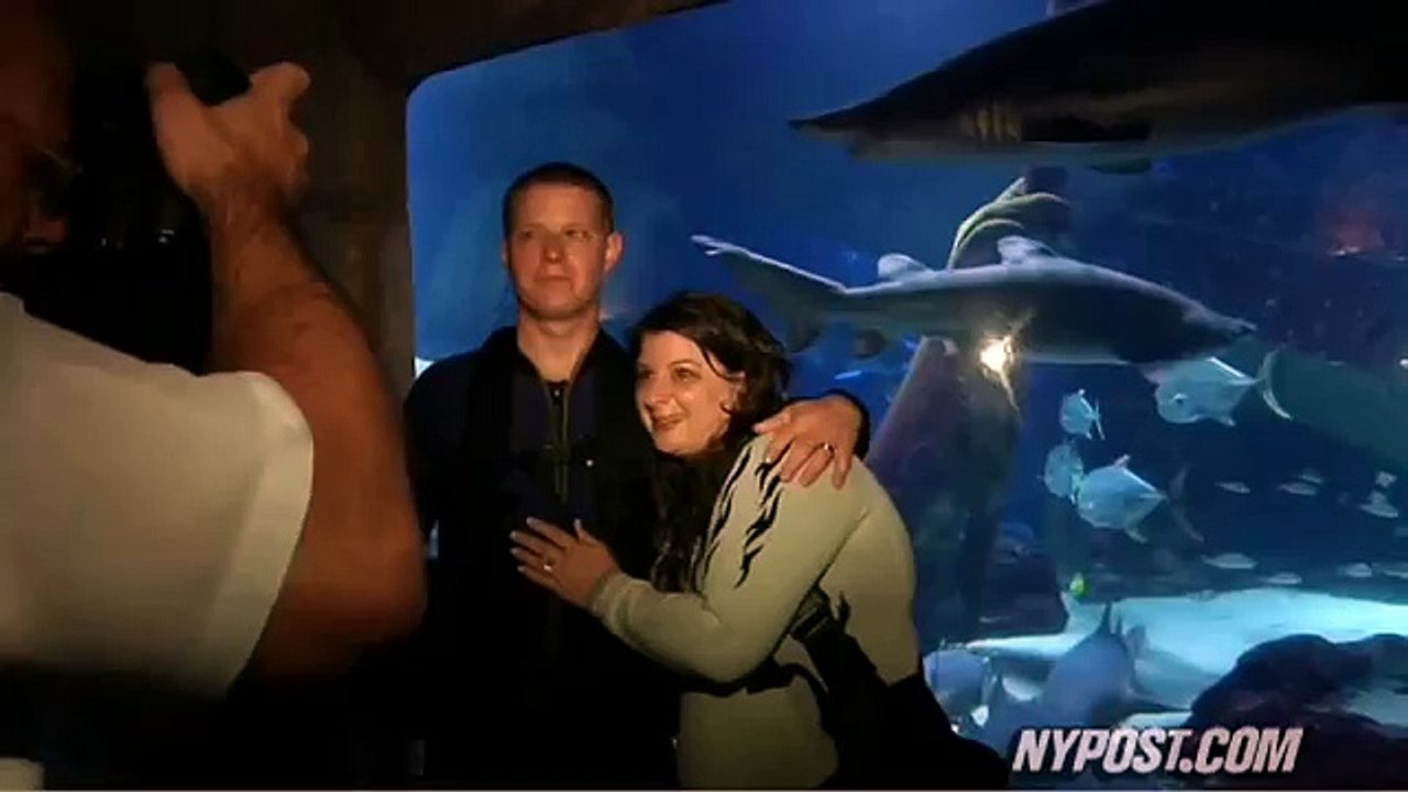 Mariage sous l'eau avec des requins