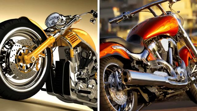 Easy Rider School LLC (Ride with the Champ) (239) 303-2755