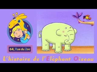 64 Rue du Zoo - L'histoire de l'Eléphant Oiseau S01E13 HD