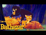 Les Voyages de Balthazar - Balthazar et l'Ours brun S01E08 HD