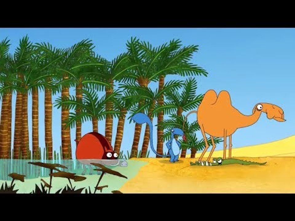 Nuts Nuts Nuts - Oasis