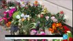 Attaques terroristes de Copenhague : des fleurs déposées en hommage au tueur