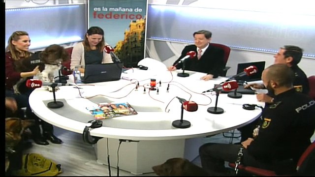 Mascotas: Perros policía - 10/02/15