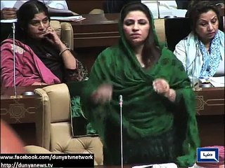 Local Body system' amendment bill present in Sindh Assembly
