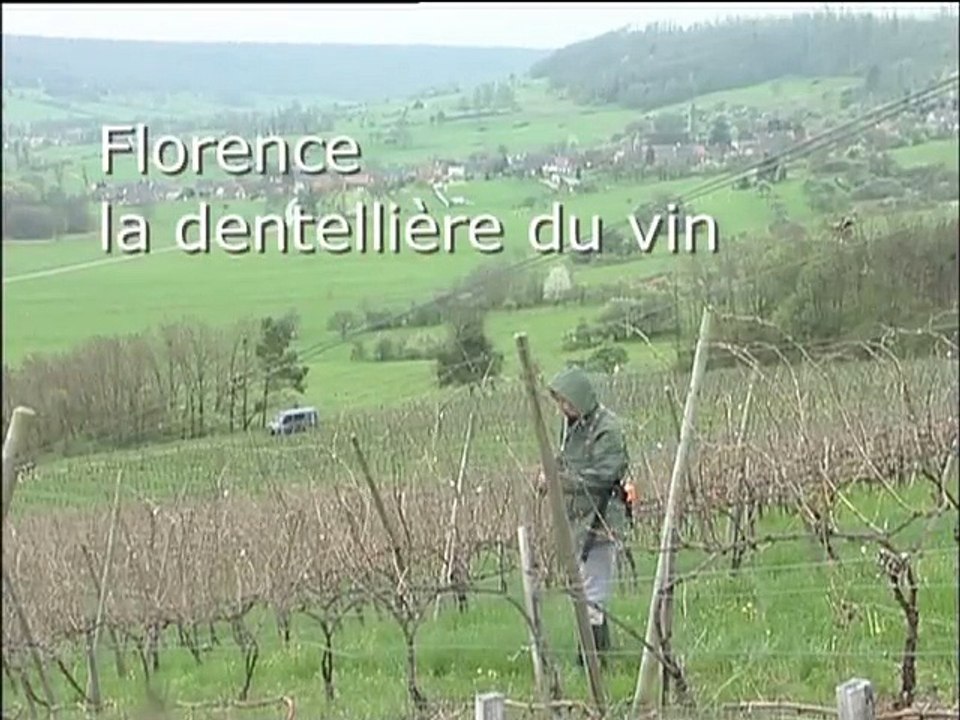 La dentellière du vin