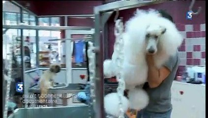 Au p'tit bonheur la France, samedi 21 février à 15h20