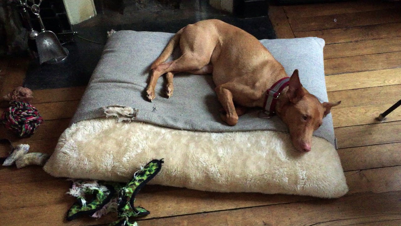 It's cold out, and Aitch knows it