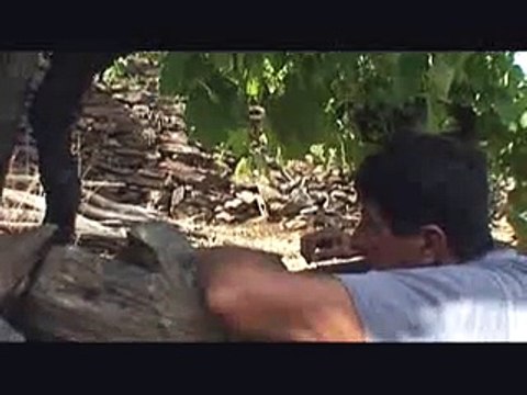 doc_et_plus.1041.akio