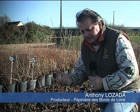 110119.JT.arbres et pepinieres