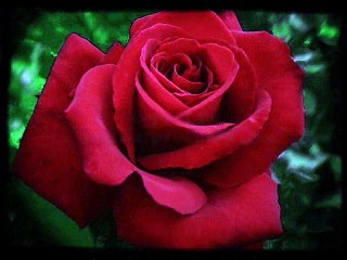 Calling Me Home-Fred Rich Hotel Astor Orchestra