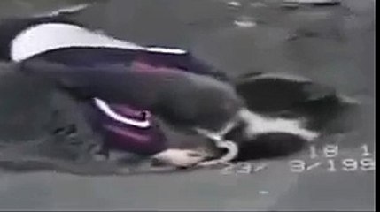 [FULL] 9 year old boy grapples with wild bear in Russia