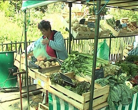 110601.JT.concombres marche