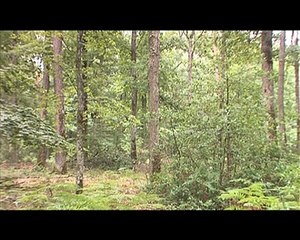 110720.JT.plan rechauffement climatique