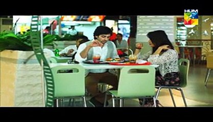 Aik Pal Episode 13 Full Drama on Hum Tv 16th February 2015