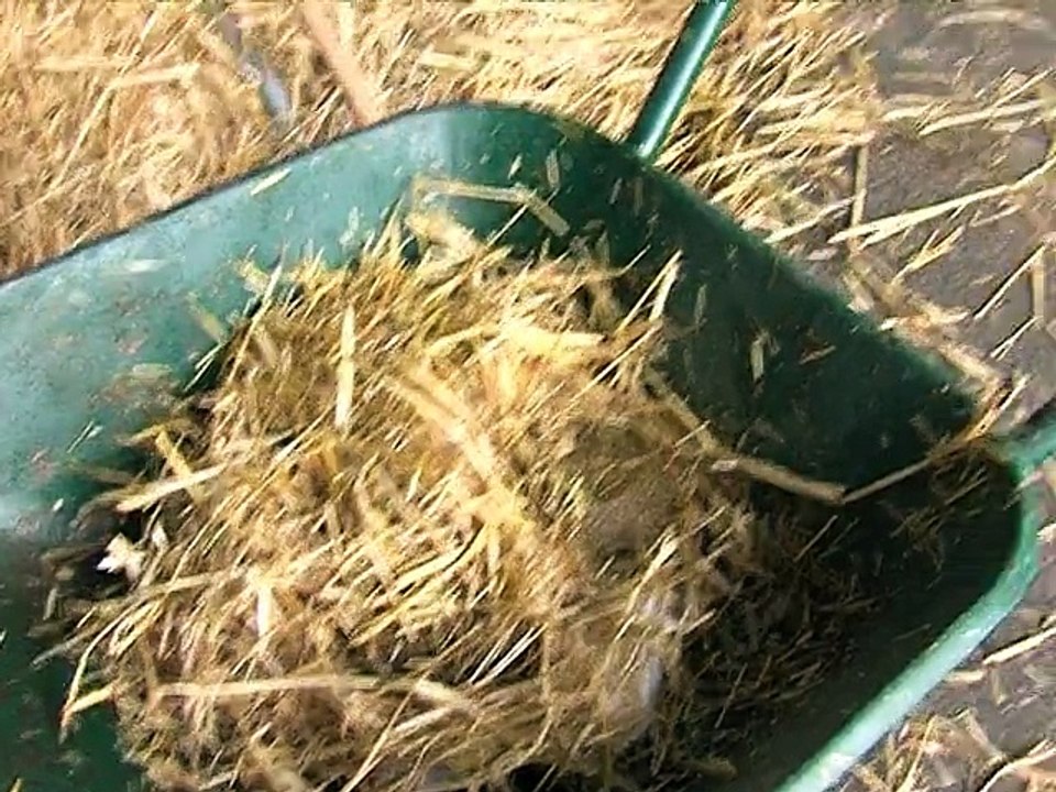 111104.JT.Ferme Expo