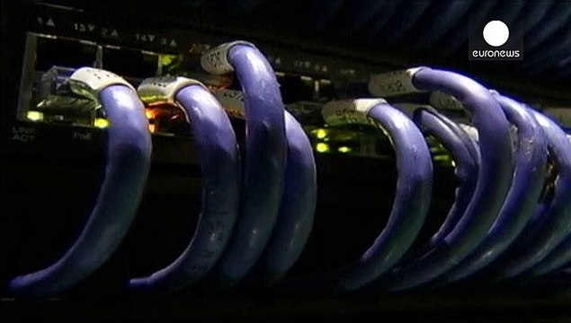 Una banda de piratas informáticos roba mil millones de dólares a un centenar de bancos