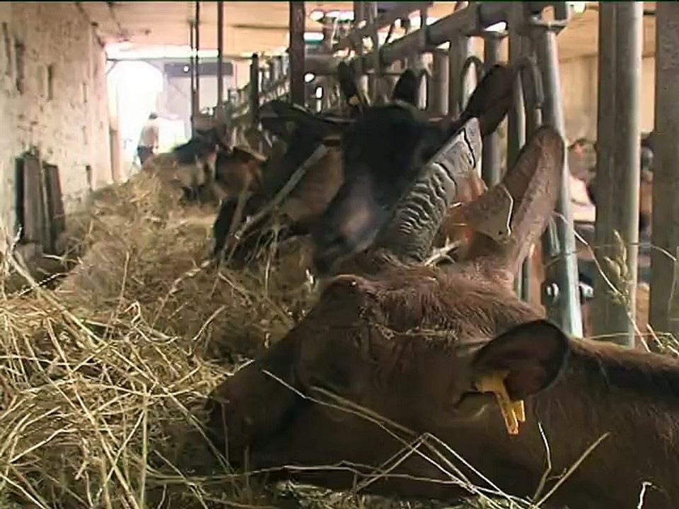 120413.JT.bienvenue ferme