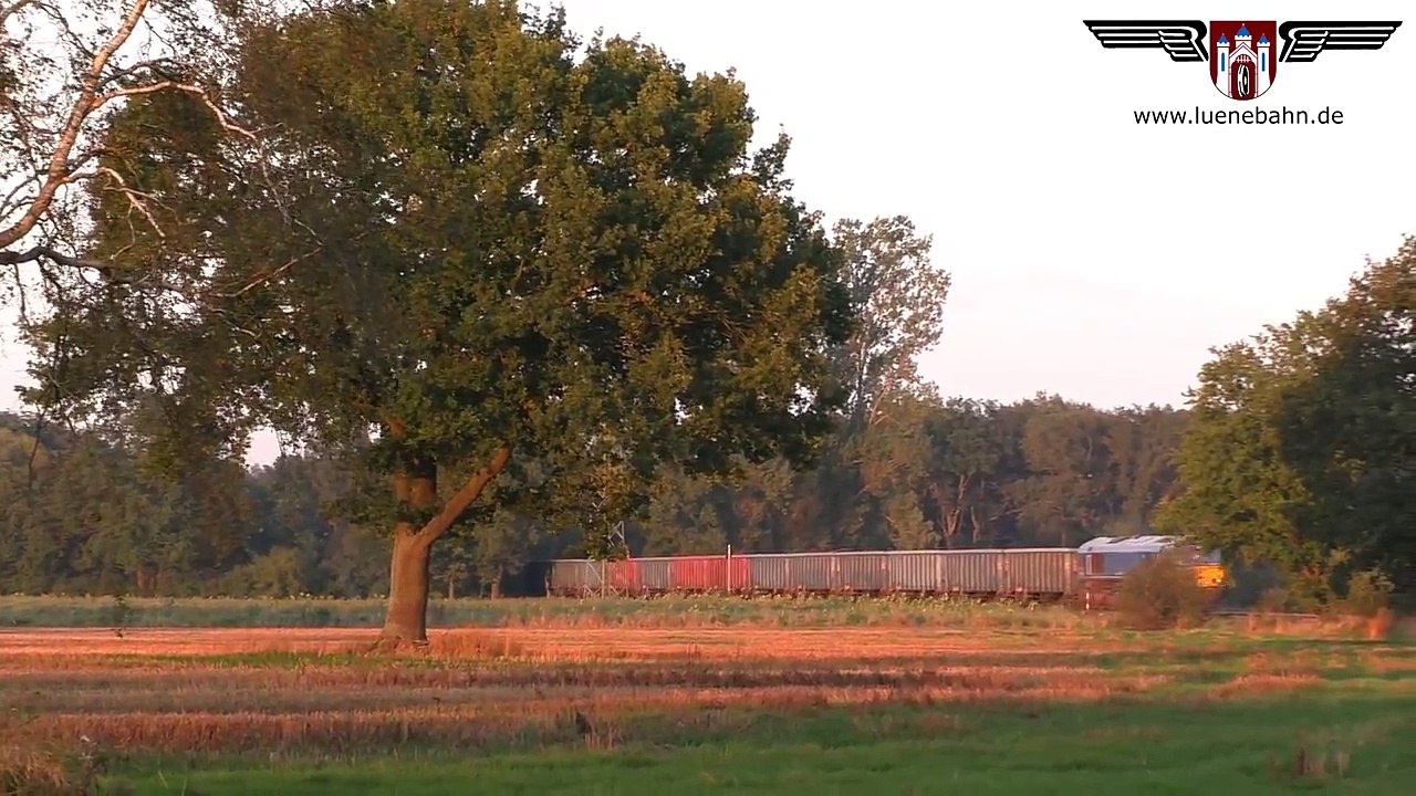 Class 66 der Lappwaldbahn uber die OHE von Winsen nach Bergen