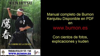 Aprender Iaido, Kenjutsu, Battojutsu, Bikenjutsu, Iaijutsu hasta nivél de maestro