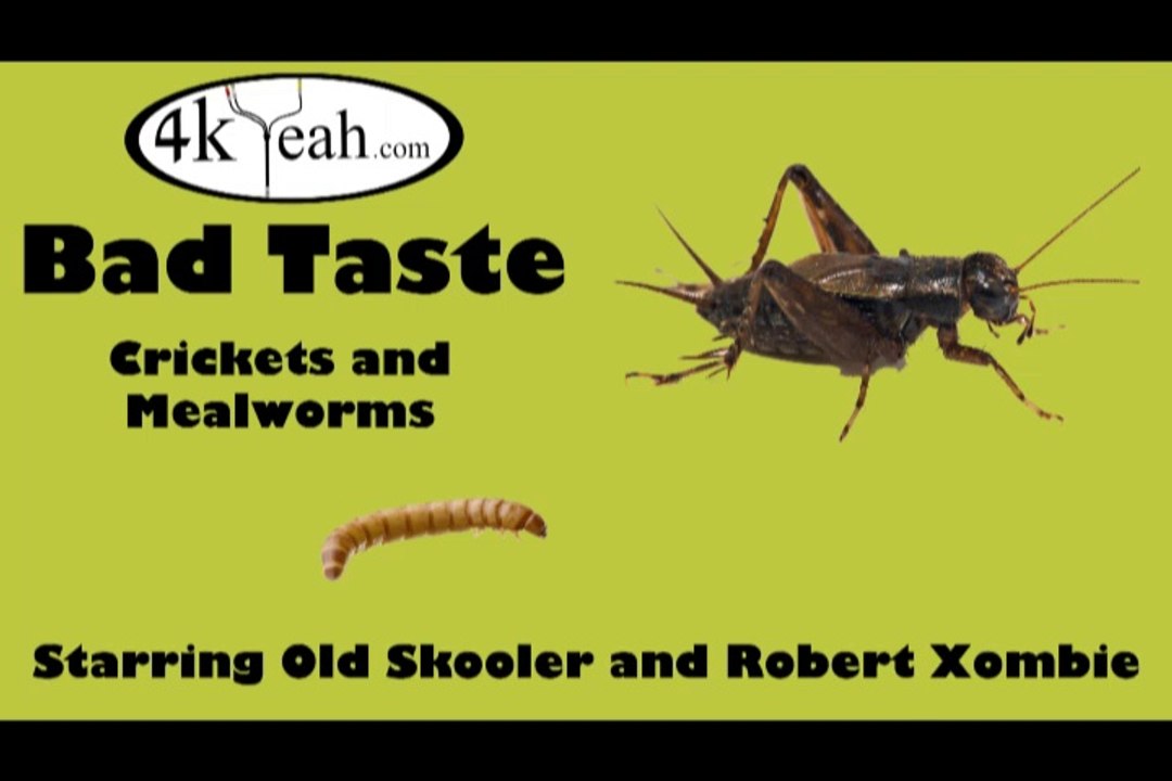 Bad Taste 001 - Crickets and Mealworms