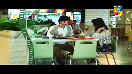 Aik Pal Episode 13 Full HUM TV Drama Feb 16, 2015