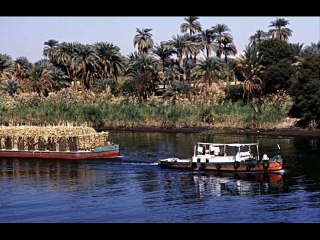 يا حلو يا أسمر - عبدالحليم حافظ