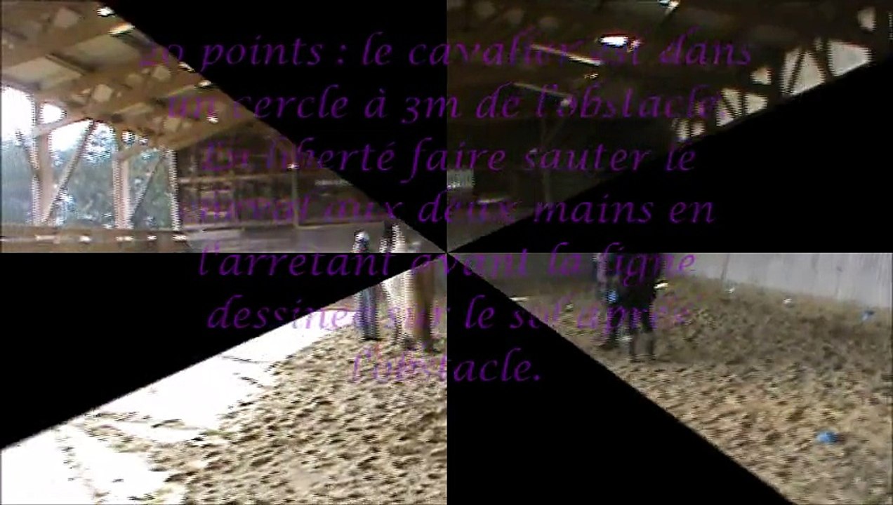 Equifeel élite à la BOnde le 8 février 2015