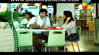 Aik Pal Episode 13 on Hum Tv in High Quality 16th February 2015 - DramasOnline