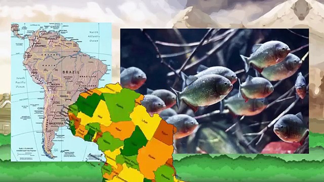 Majora's African Roots pt. 1 (Legend of Zelda  Majora's Mask) - Culture Shock