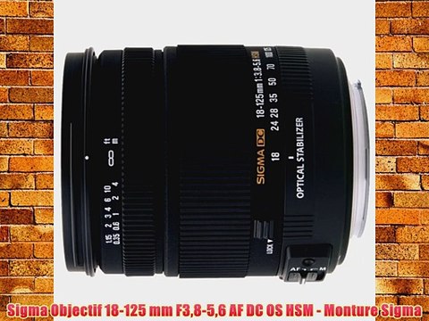 Sigma Objectif 18-125 mm F38-56 AF DC OS HSM - Monture Sigma