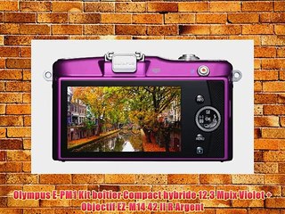 Olympus E-PM1 Kit bo?tier Compact hybride 123 Mpix Violet   Objectif EZ-M14 42 II R Argent