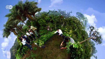 South Africa: Saving the plant kingdom | Global 3000