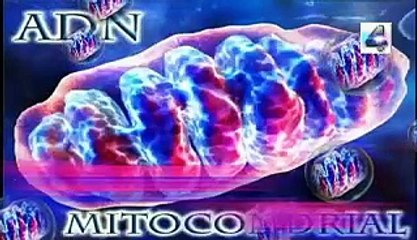 percepcion Extrasensorial acuatica humana enigmas misterios secretos mitos paranormal fantastico español latino