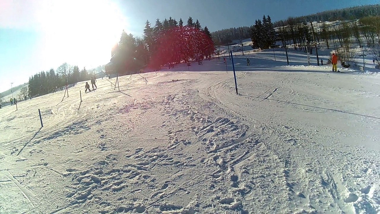 szkolka 55