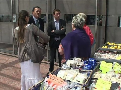 120606.JT.Législatives ROMO