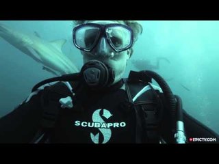 This Guy Took A Selfie With A Shark | Fish'n Tings, Ep. 2