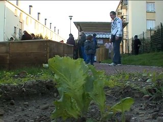 121102.JT.jardins partages