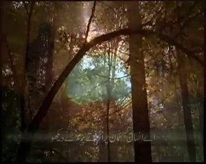 Baba Bulleh Shah (Must see this video will  change your life )