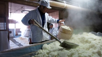 How to make Japanese Sake - Mushi and Horeiba(Steaming and cooling) Part 1