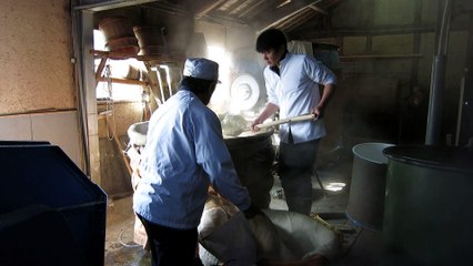 How to make Sake – Steaming and Cooling Part 2