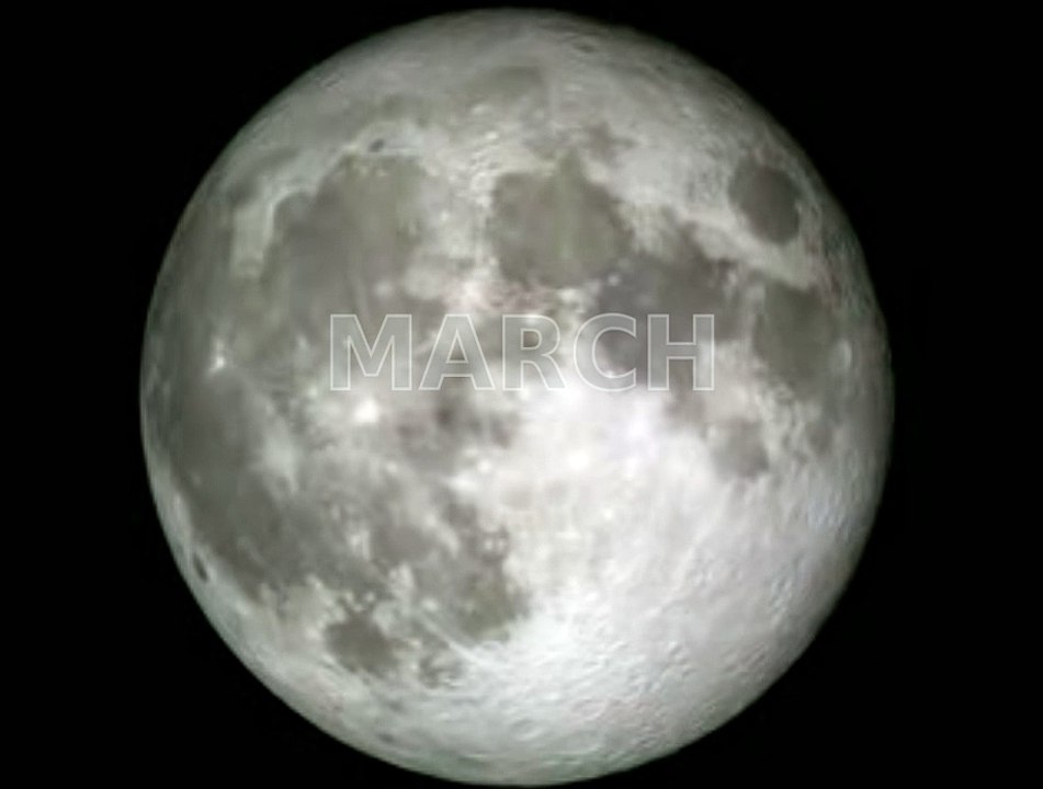 A Moon Year