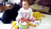 Funny cats and babies playing together - Cute cat & baby compilation