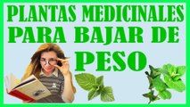 Plantas Medicinales para Bajar de Peso