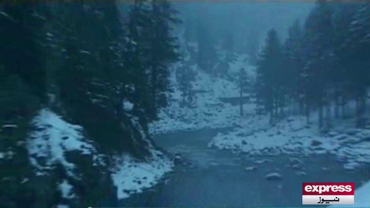 Snow fall - 17 FEB 2015