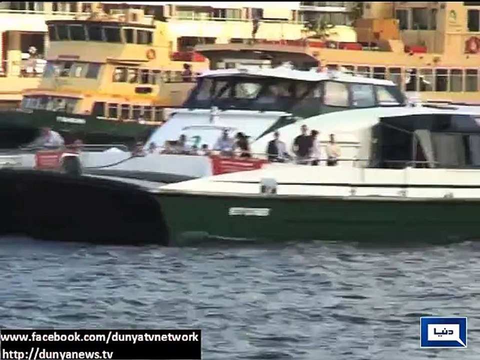 Dunya news- Opera House and Sydney Harbour Bridge, centre of attraction for tourists