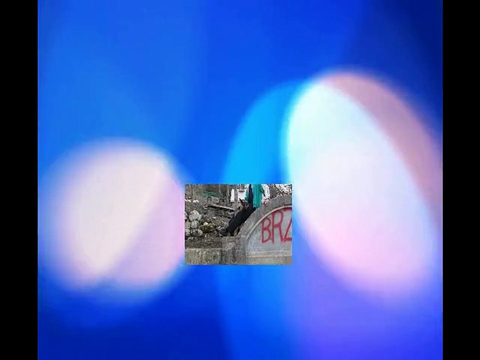 JA NA BRZICI