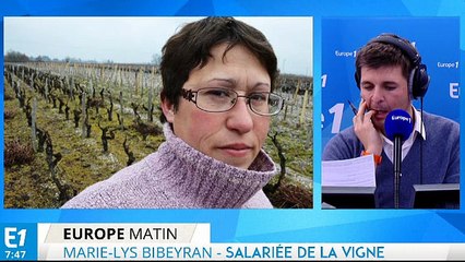 Bibeyran : "Une omerta sur le problème des pesticides en général"