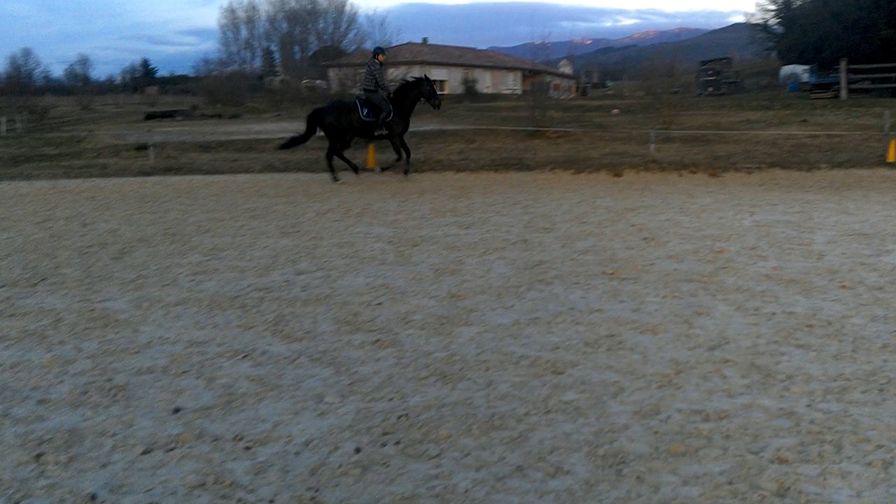 Entrainement CSO 280115 - 5
